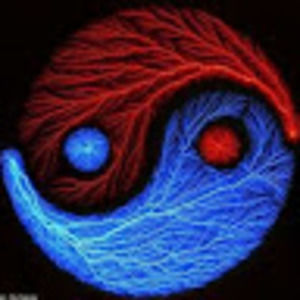 Meet your Posher, Nelson